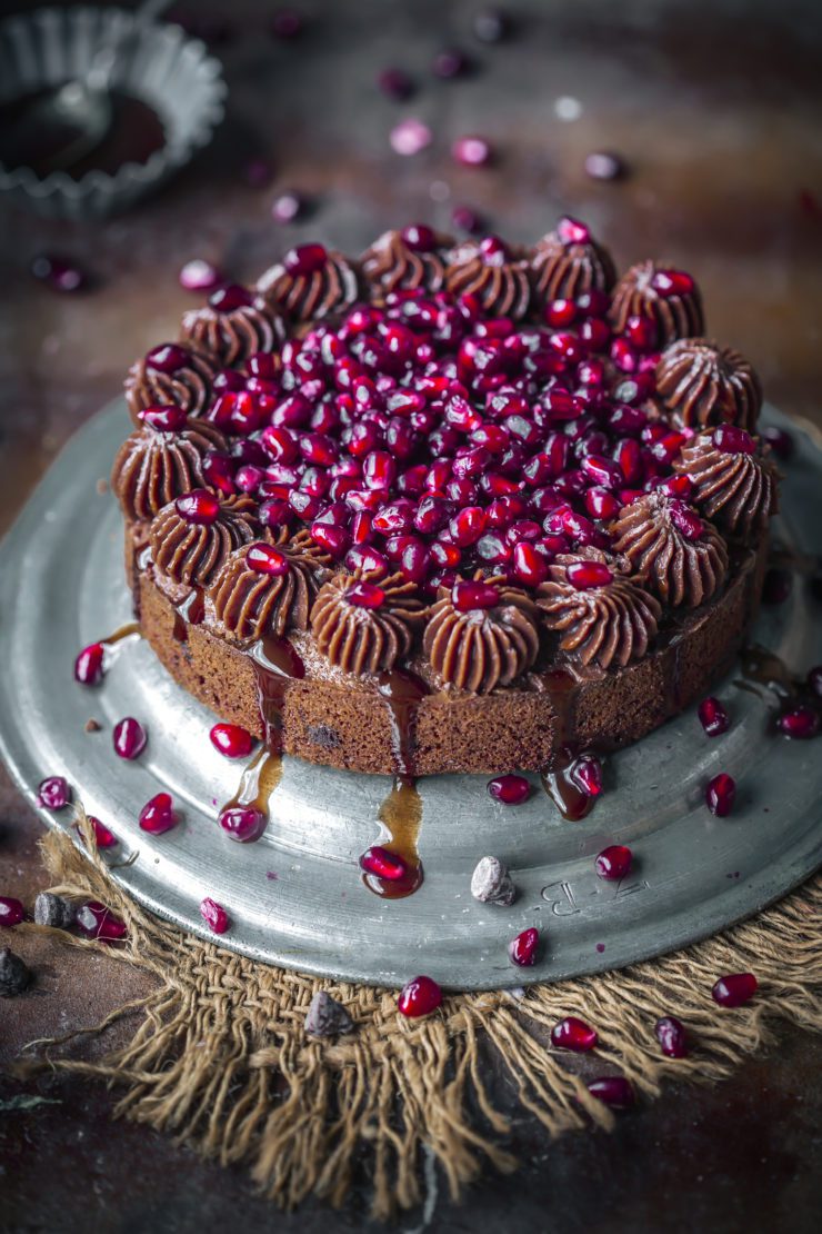 Chocolate Chip Cake with Pomegranate