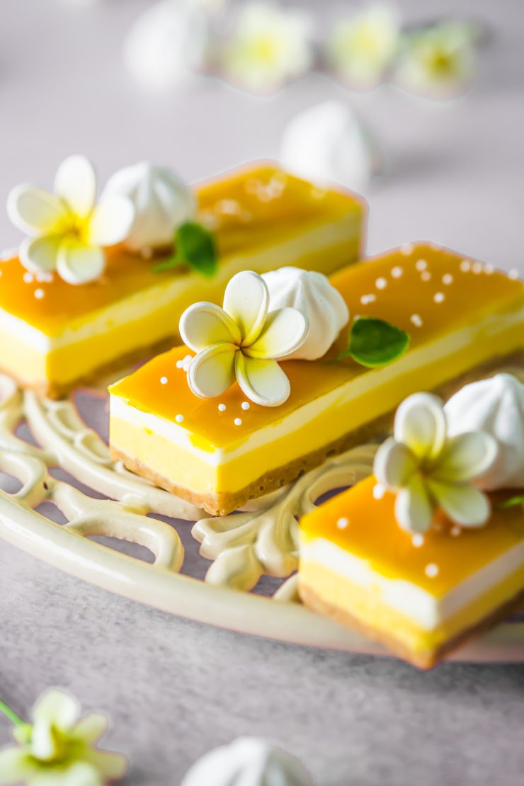 Mango and Coconut Mousse Bars